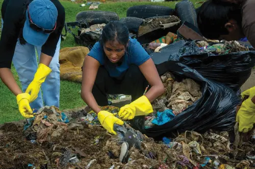 Crow Island-Volunteer Beach Cleanup