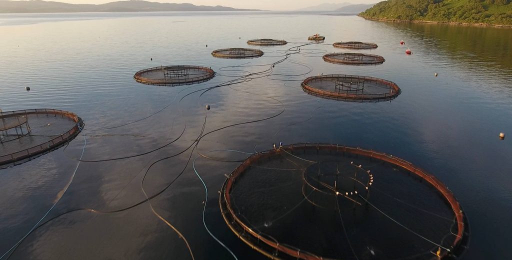 An Image of a Fish Farm in Loch Fyne